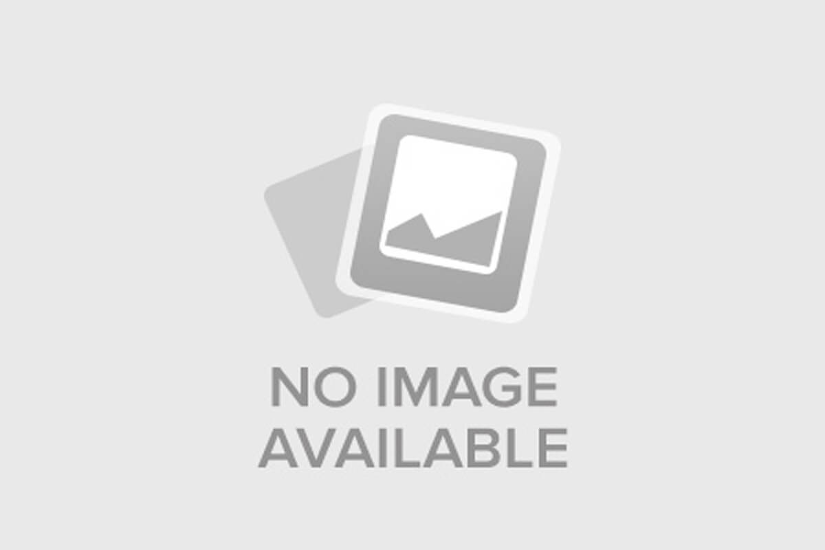 Энциклопедия Стамбула